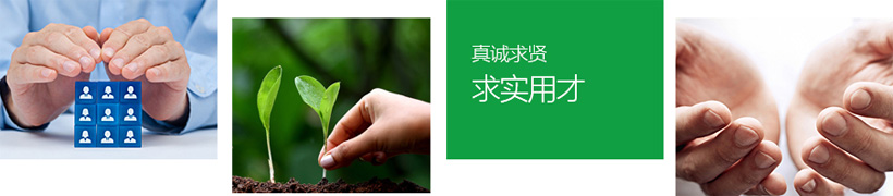 男阳茎进女阳道视频大全