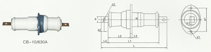 男阳茎进女阳道视频大全