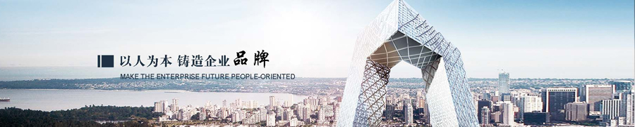 男阳茎进女阳道视频大全